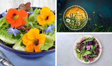 Growing Edible Flowers Indoors (How To And Tips)