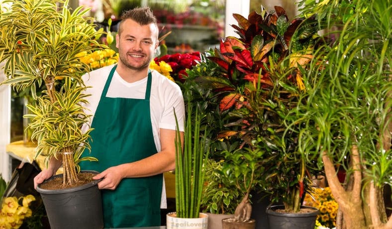 man at plant store greenhouse