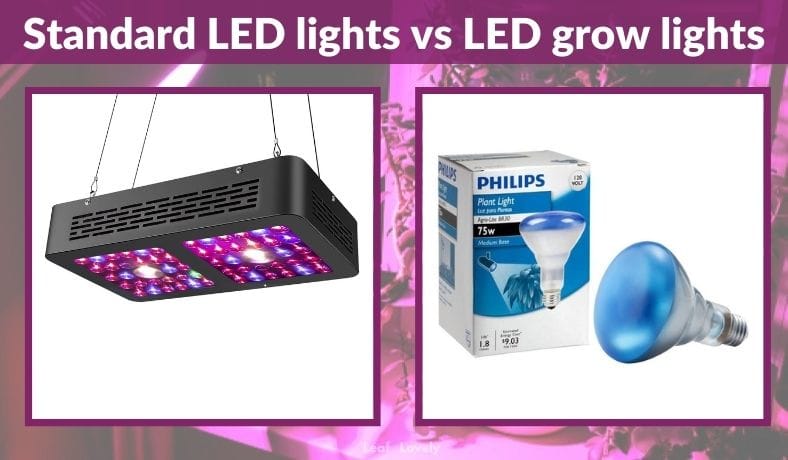 what is the difference between LEDs and other grow lights